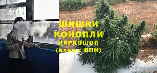 соль ск Михайлов