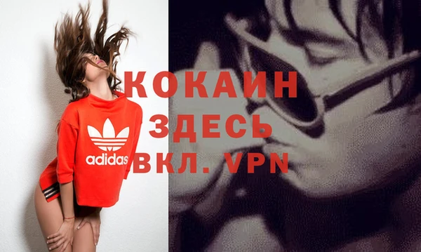 соль ск Михайлов