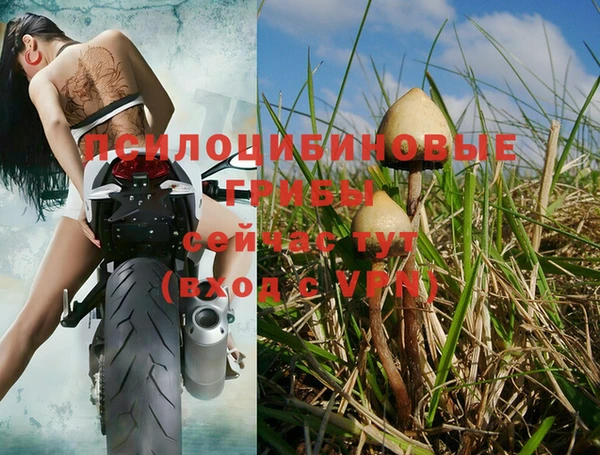соль ск Михайлов