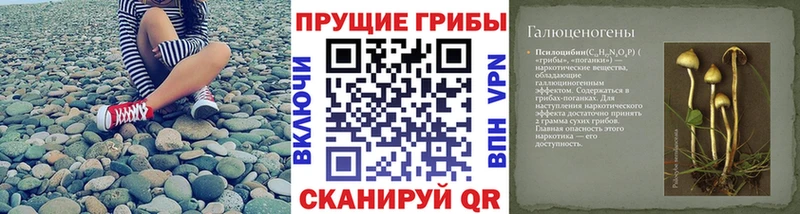 Галлюциногенные грибы Psilocybe цены Нижнекамск
